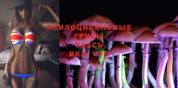 spice Краснослободск