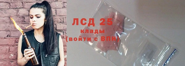 spice Краснослободск