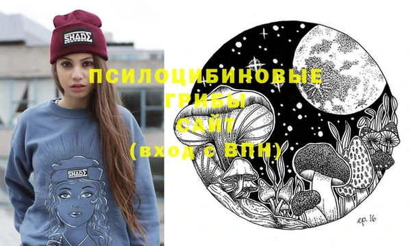 spice Краснослободск