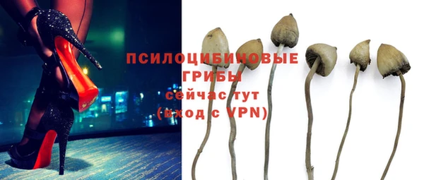 spice Краснослободск