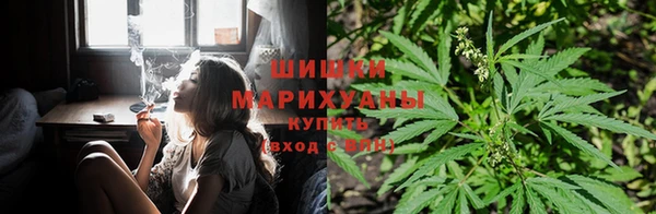 spice Краснослободск