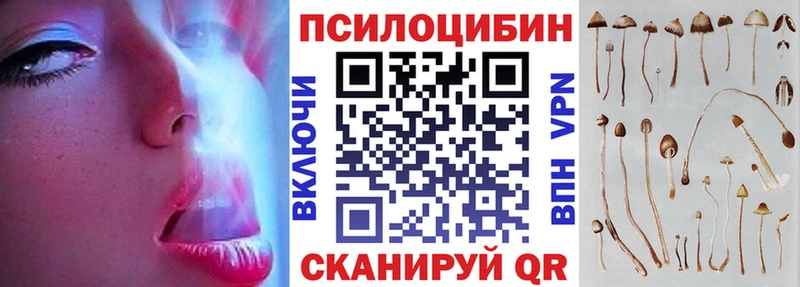 Купить где  Белорецк  Псилоцибиновые грибы Psilocybine cubensis 